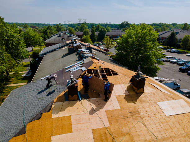 Quick and Trustworthy Emergency Roof Repair Services in Stewartville, AL
