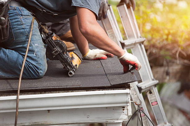 Best Roof Leak Repair  in Stewartville, AL